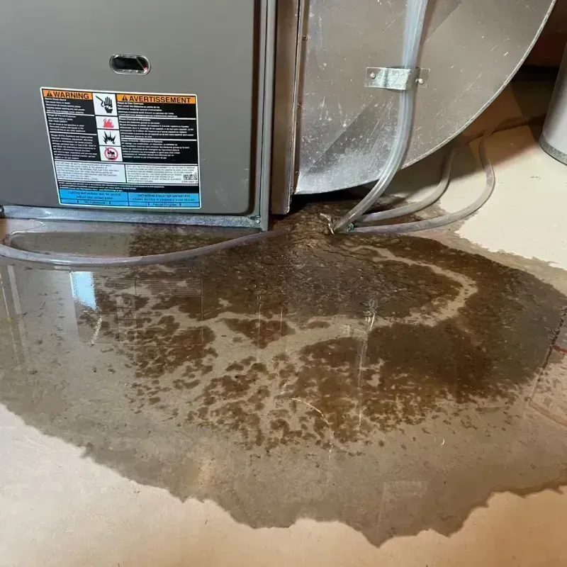 Appliance Leak Cleanup in McEwen, TN